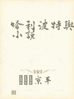 哈利波特与密室小说