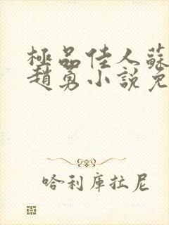 极品佳人苏媚和赵勇小说免费阅读