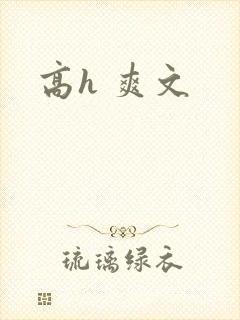 高h 爽文