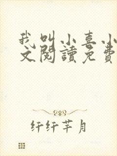 我叫小喜小说全文阅读免费