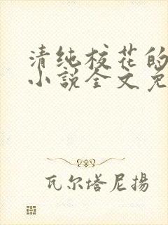 清纯校花的轶事小说全文免费阅读
