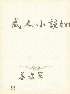 成人小说txt