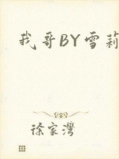 我哥BY雪莉封面