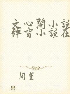 文心阁小说_无弹窗小说在线免费阅读