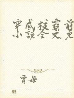 穿成校霸前男友小说全文免费阅读封面