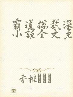 霸道总裁深深爱小说全文免费阅读封面