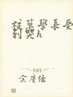 校草学长受被做到哭h封面