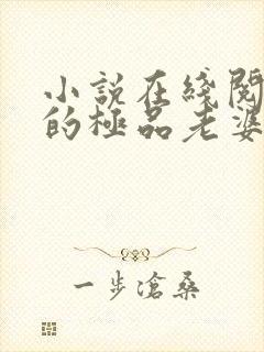 小说在线阅读我的极品老婆
