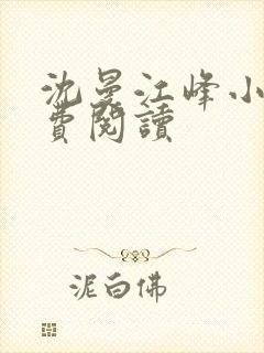 沈曼江峰小说免费阅读
