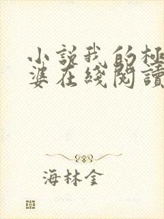 小说我的极品老婆在线阅读