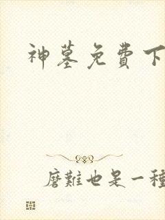 神墓免费下载封面
