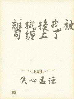 离职后我被前上司缠上了