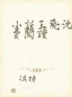 小说王飞沈姨免费阅读
