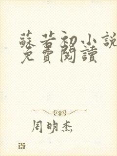 苏若初小说全文免费阅读封面