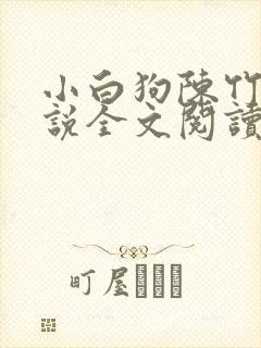 小白狗陈竹岚小说全文阅读免费封面