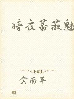 暗夜蔷薇魅