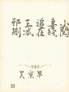 邪王追妻小说无删减在线阅读
