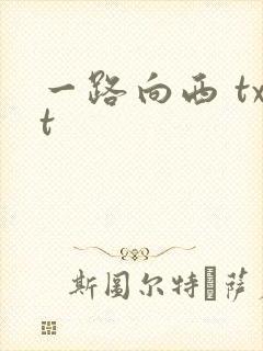 一路向西 txt封面