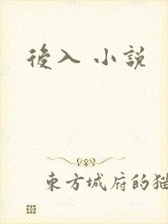 后入 小说