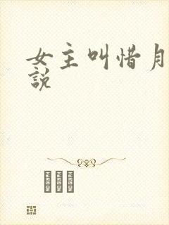 女主叫惜月的小说