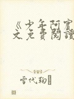 《少年阿宾》全文免费阅读