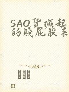 SAO货撅起你的贱屁股来