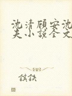 沈清顾安沈澈姐夫小说全文阅读封面