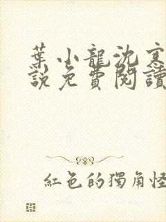 叶小龙沈寒溪小说免费阅读全文无弹窗