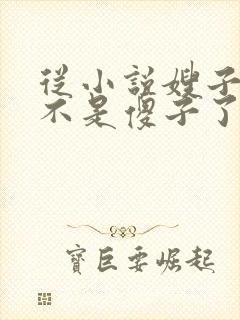 从小说嫂子我真不是傻子了免费阅读