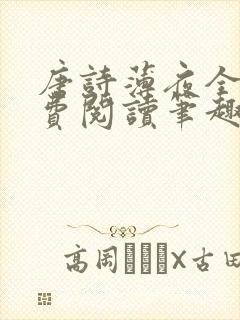 唐诗薄夜全文免费阅读笔趣阁
