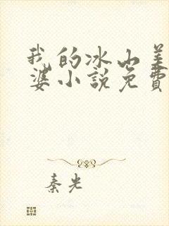 我的冰山美女老婆小说免费听书