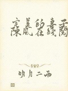 完美的妻子小说陈风在线阅读