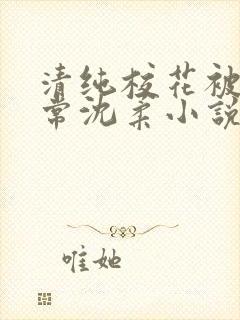 清纯校花被擒日常沈柔小说免费阅读