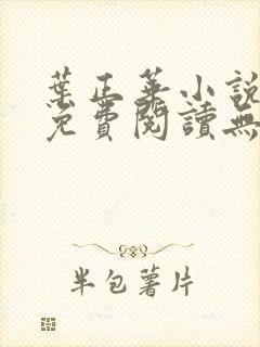 叶正华小说全文免费阅读无弹窗封面
