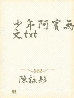 少年阿宾无删全文txt