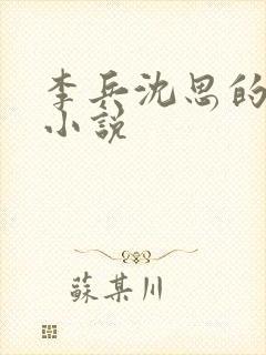 李兵沈思的生活小说