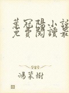 叶冠阳小说全文免费阅读最新章节