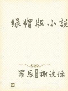 绿帽版小说