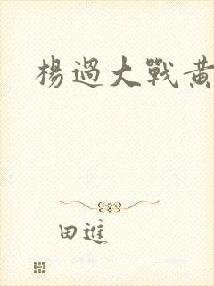 杨过大战黄蓉