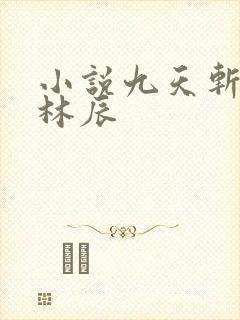 小说九天斩神诀林辰封面
