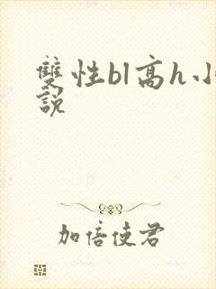 双性bl高h小说