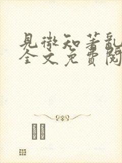 见微知著乱佳音全文免费阅读