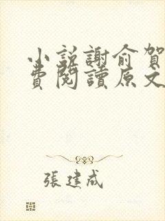 小说谢俞贺朝免费阅读原文