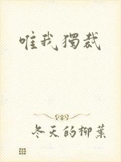 唯我独裁