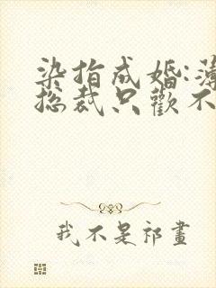 染指成婚:薄情总裁只欢不爱
