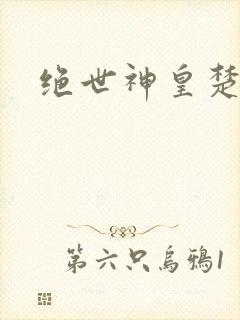 绝世神皇楚风