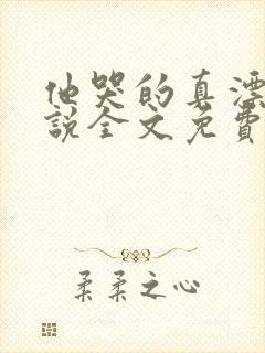 他哭的真漂亮小说全文免费阅读