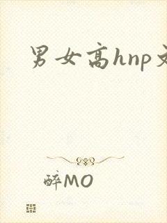 男女高hnp文