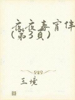 夜夜春宵伴娇媳(第3页)