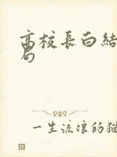 高校长白结大结局